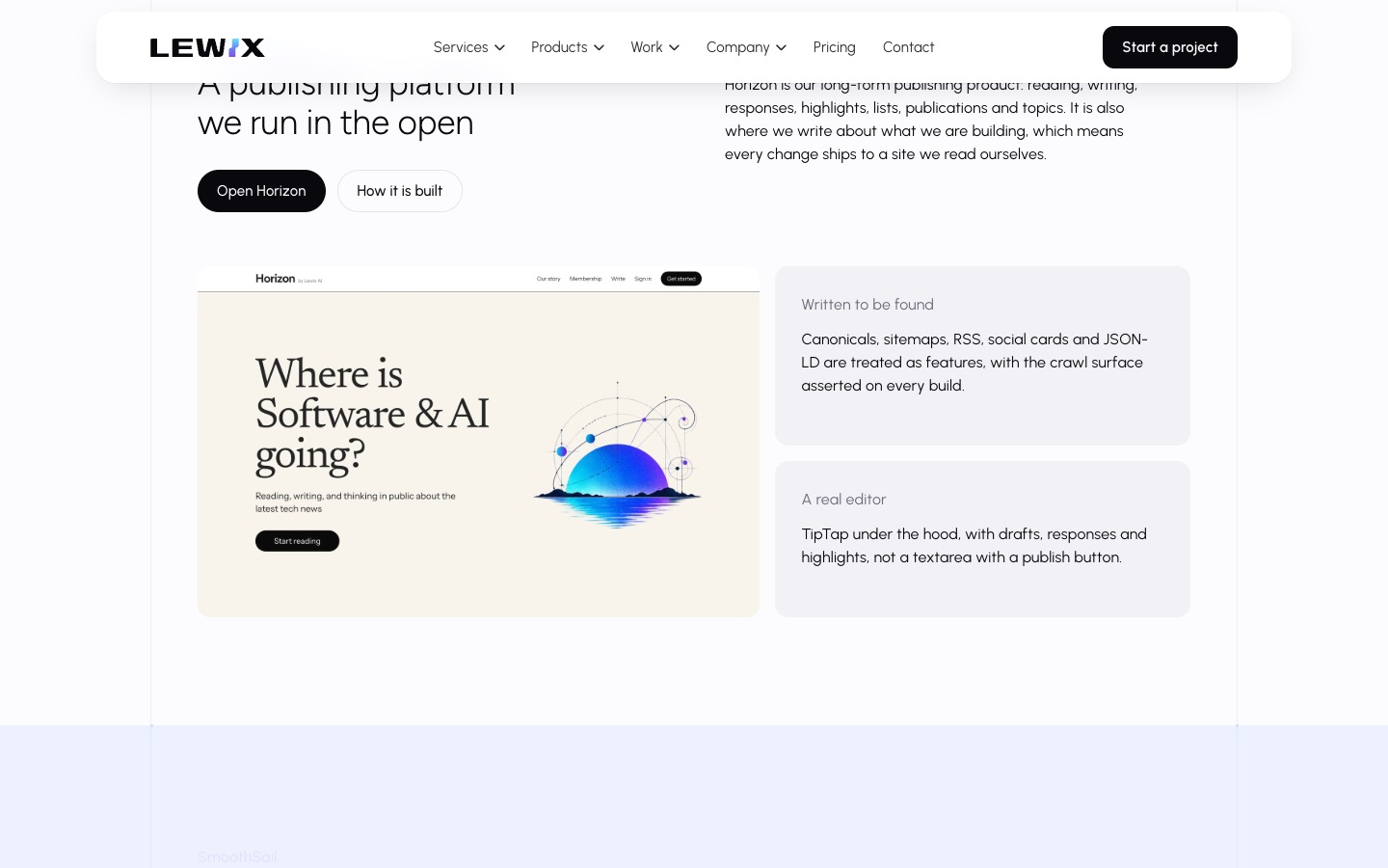 The Lewix company website, desktop, section 2.